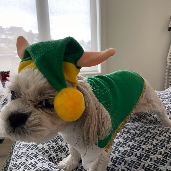4 Small dog Halloween costumes - Picture 6 of 14